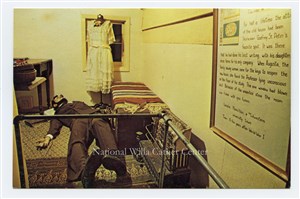 Image description is not available for PHO-264-881